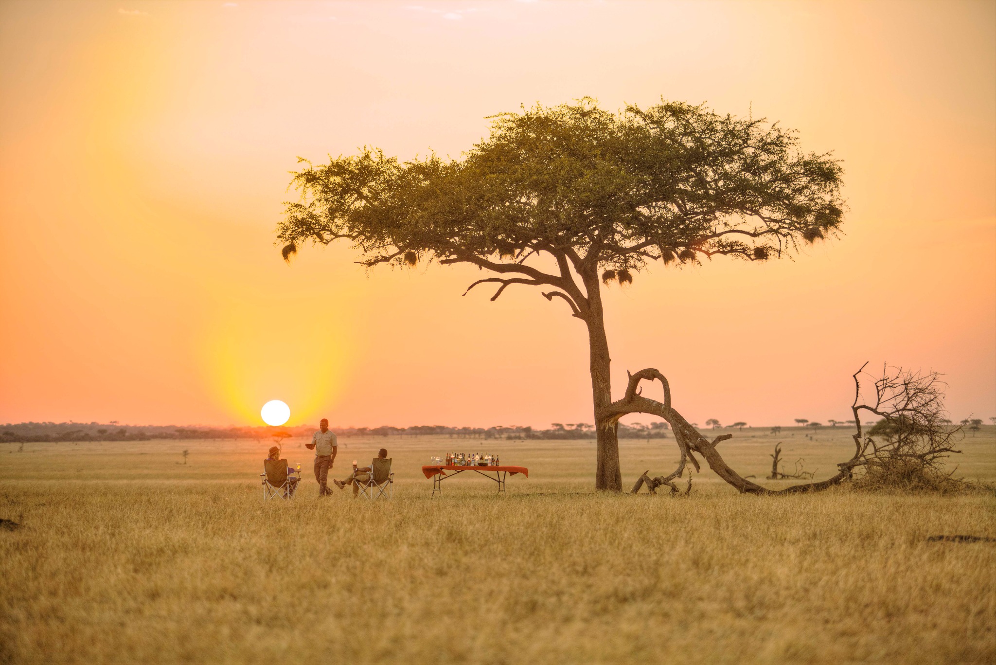 A private sundowner on the East African plains